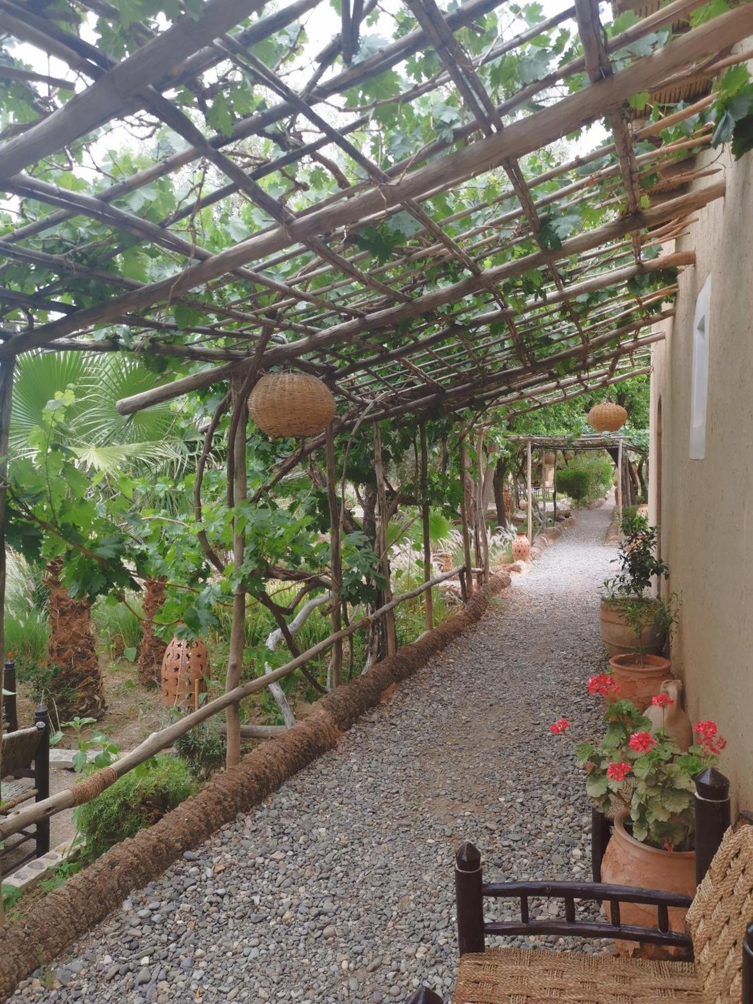 Les Jardins De Skoura Bed & Breakfast Exterior photo